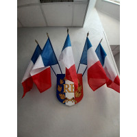 lot ECUSSON RF PALMES avec 5 drapeaux france 50x75cm