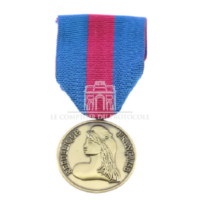 MÉDAILLE DES RÉSERVISTES RDVSI bronze