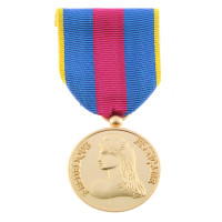MÉDAILLE DES RÉSERVISTES RDVSI OR