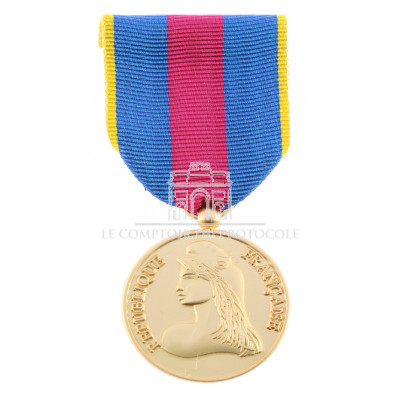 MÉDAILLE DES RÉSERVISTES RDVSI OR