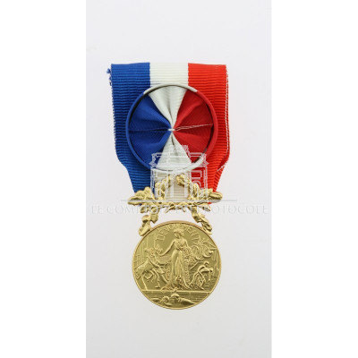MEDAILLE COURAGE ET DEVOUEMENT or
