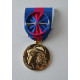 MEDAILLE SERVICES MILITAIRES VOLONTAIRES OR svm