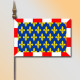 MINI DRAPEAU PROVINCE FRANCAISE 10x15cm