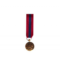 DEFENSE NATIONALE bronze - reduction miniature