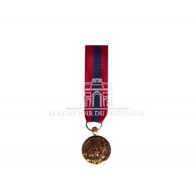 DEFENSE NATIONALE bronze - reduction miniature