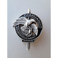 INSIGNE COMMANDO AGUERISSEMENT