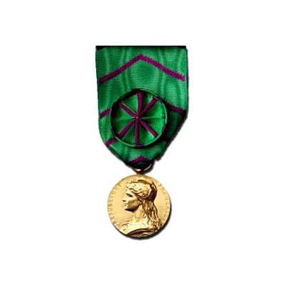 HONNEUR PENITENTIAIRE OR metal bronze dore