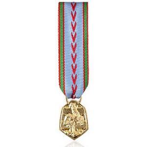 COMMEMORATIVE 39-45 Reduction miniature